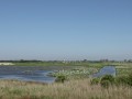 02-DSC03014-