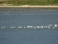 04-DSC03172-