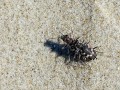 07-DSC03300-