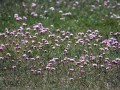 18-DSC03306-