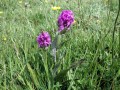 24-DSC03325-