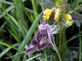 25-DSC03348-