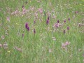 26-DSC03386-