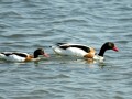 27-DSC03295-