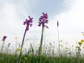 30-DSC03336-