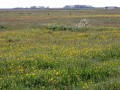 37-DSC03423-