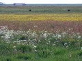 38-DSC03425-