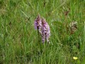 40-DSC03504-