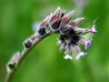41-DSC03495-