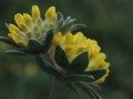 44-DSC03512-