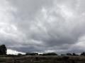 08-DSC03281-