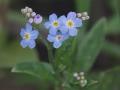 20-DSC03709-