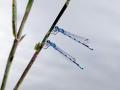 22-DSC03794-