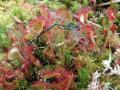 25-DSC03735-