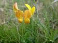 26-DSC03750-