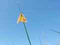 34-DSC03895-