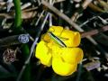 42-DSC03984-