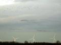 15-DSC05908-.