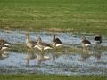 17-DSC05859-