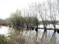 01-DSC01593-.
