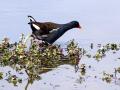 25-DSC09799-