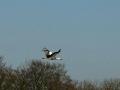 30-DSC00813-