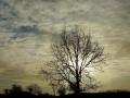 17-DSC00455-Somber-weer.