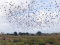 01-DSC06006-S