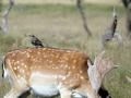 04-DSC06117-