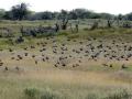 07-DSC05889-