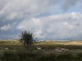11-DSC05839-.
