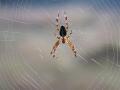14-DSC06535-