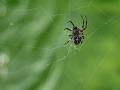 18-DSC05464-