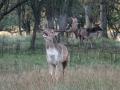 28-DSC07481-