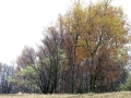 DSC07644 Palmveld.