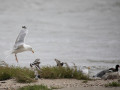 788A7650-