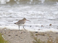 788A7753-