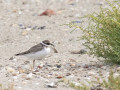 788A7757-