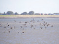 788A7816-