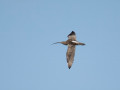 788A7834-