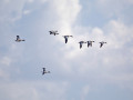 788A7846-