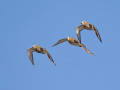 788A7876-