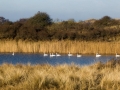 _MG_8045a