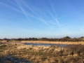 _MG_8056a