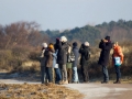 _MG_8065a