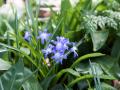 548A0781a-