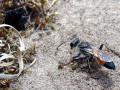 08-DSC06143-
