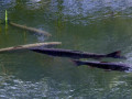 20-DSC06590--