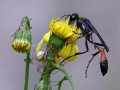 25-DSC07012-