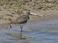 Oeverloper_208707